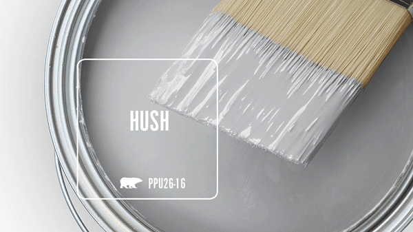 Behr Marquee Hush color paing PPU26-16