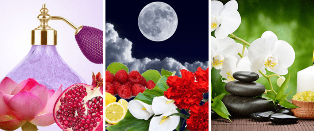 Euphoric Majesty Fragrance Oil Spa Fragrance Oil and Lunar Eclipse Fragrance Oil